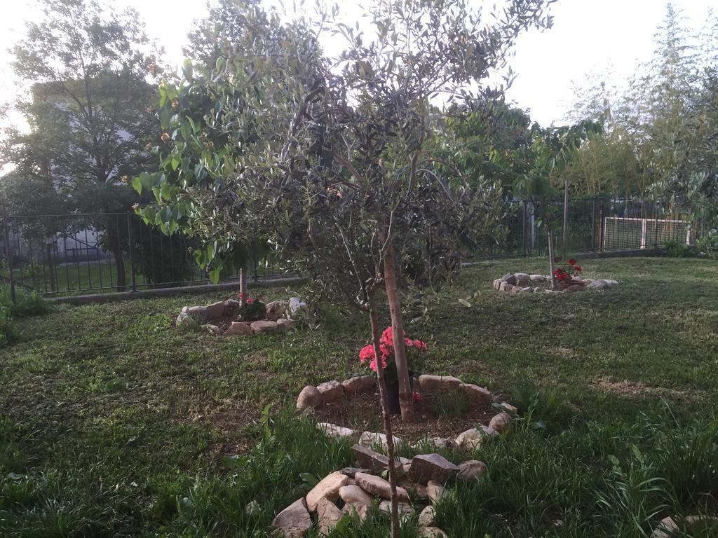 B&B San Giorgio Traversetolo Εξωτερικό φωτογραφία